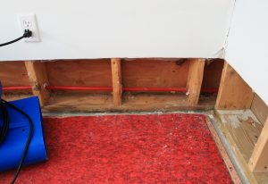 an industrial fan drying water damaged wall and carpet padding in a residential basement